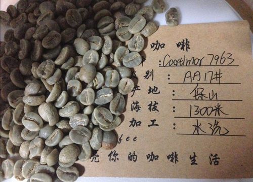 咖啡豆价格？咖啡豆价格每公斤多少钱？